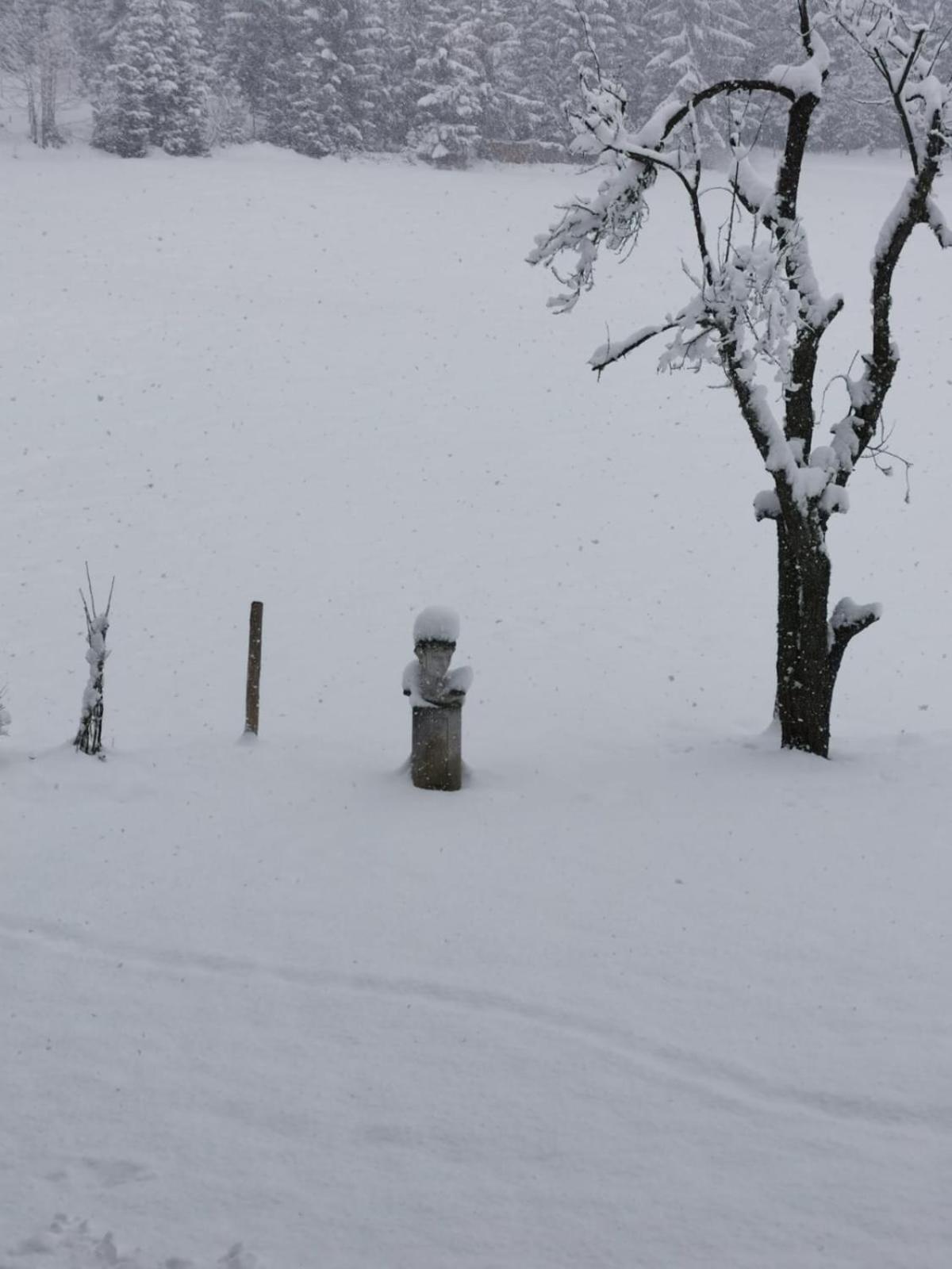 Boutique Hotel Alpenhof Sankt Martin am Tennengebirge Dış mekan fotoğraf