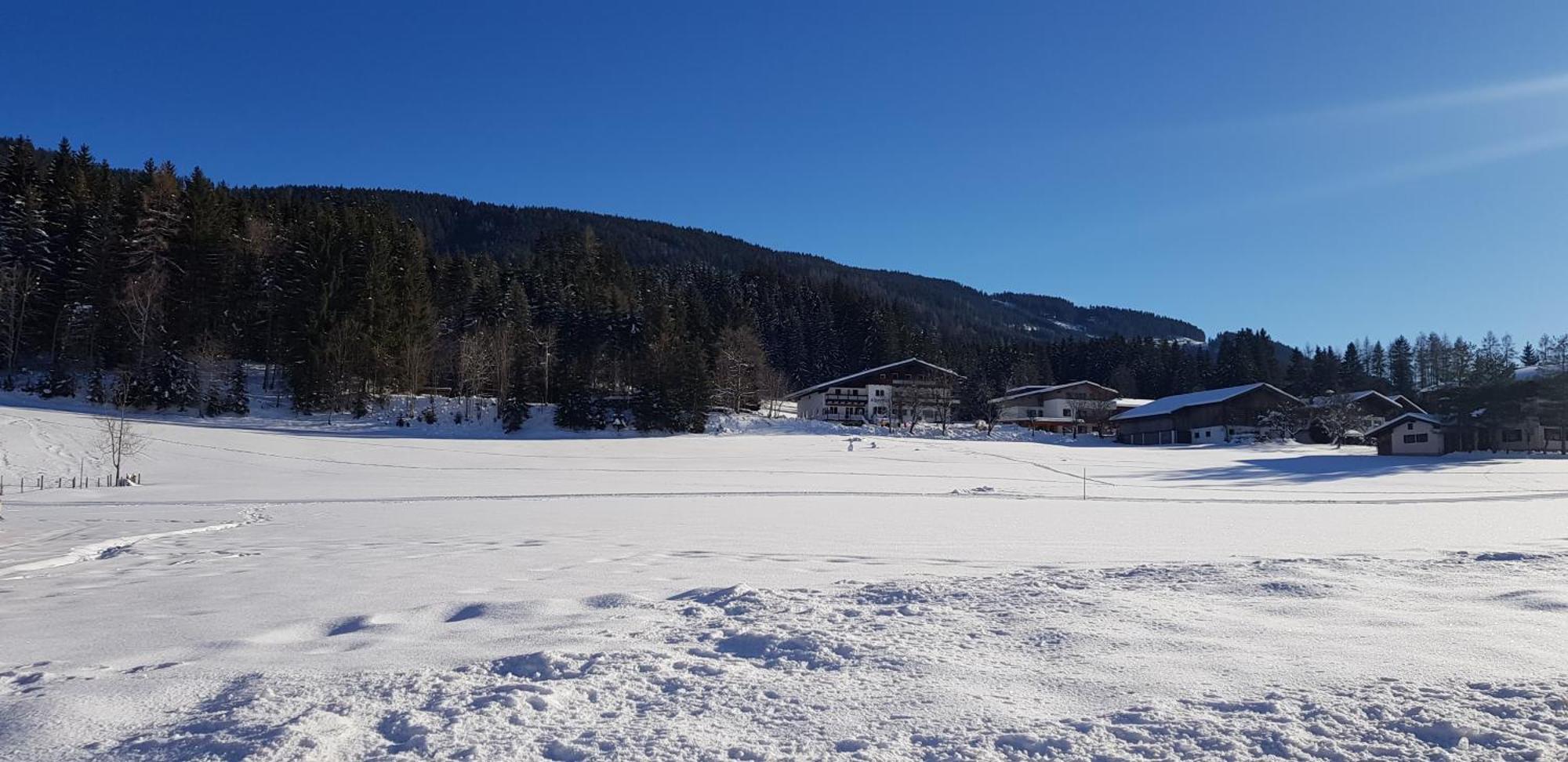 Boutique Hotel Alpenhof Sankt Martin am Tennengebirge Dış mekan fotoğraf