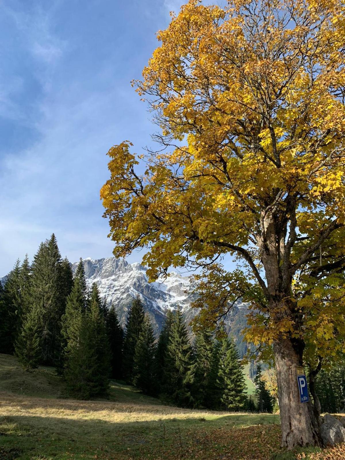 Boutique Hotel Alpenhof Sankt Martin am Tennengebirge Dış mekan fotoğraf